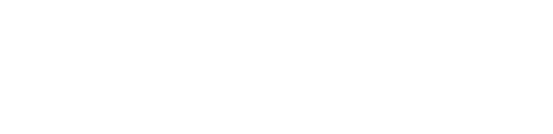спецайти